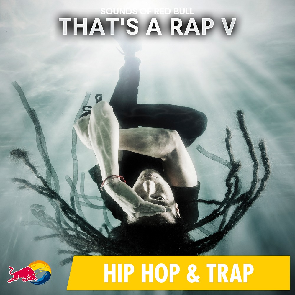 That's A Rap V